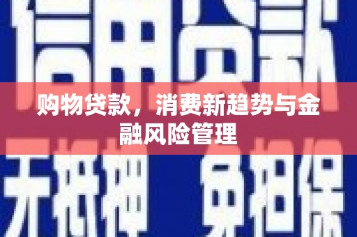 青铜峡购物贷款，消费新趋势与金融风险管理
