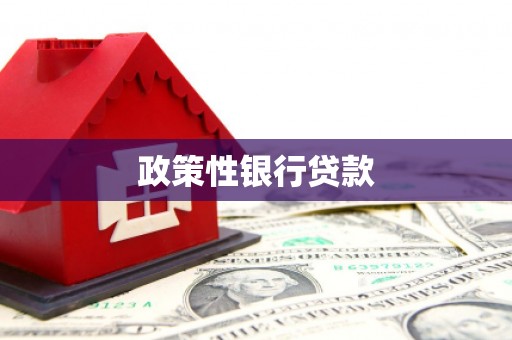 青铜峡政策性银行贷款