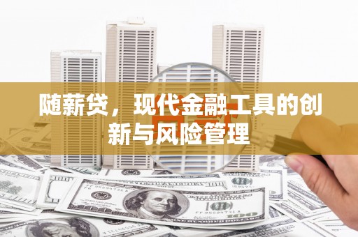 青铜峡随薪贷，现代金融工具的创新与风险管理