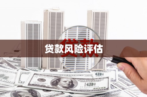 青铜峡贷款风险评估