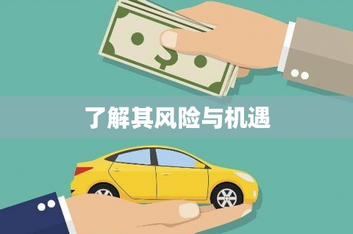 青铜峡了解其风险与机遇