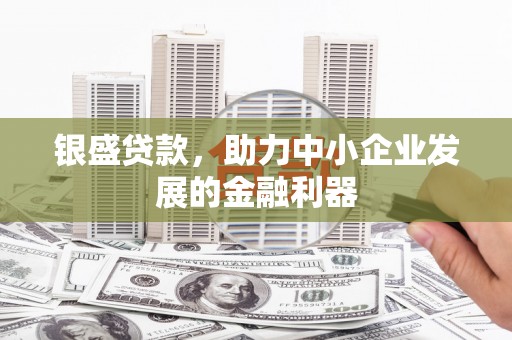 青铜峡银盛贷款，助力中小企业发展的金融利器