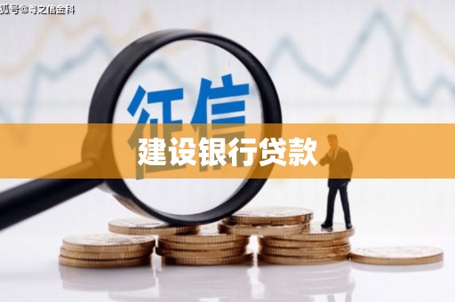 青铜峡建设银行贷款