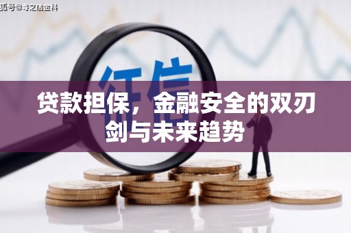 青铜峡贷款担保，金融安全的双刃剑与未来趋势