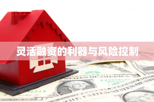 青铜峡灵活融资的利器与风险控制