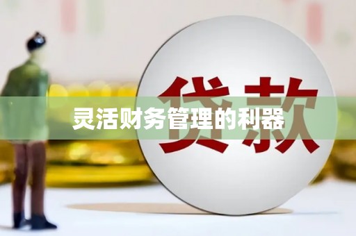 青铜峡灵活财务管理的利器