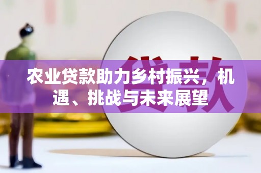 青铜峡农业贷款助力乡村振兴，机遇、挑战与未来展望