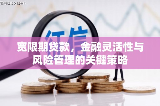 青铜峡宽限期贷款，金融灵活性与风险管理的关键策略
