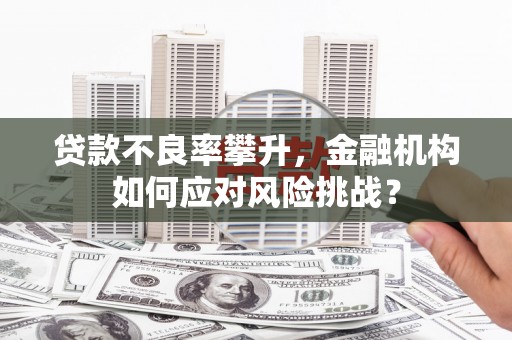 青铜峡贷款不良率攀升，金融机构如何应对风险挑战？