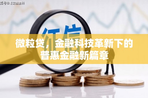 青铜峡微粒贷，金融科技革新下的普惠金融新篇章