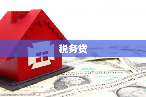青铜峡税务贷