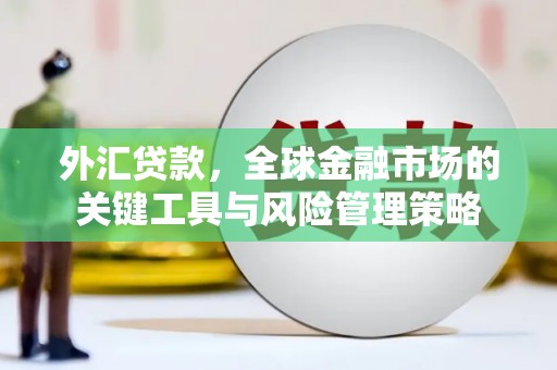 青铜峡外汇贷款，全球金融市场的关键工具与风险管理策略