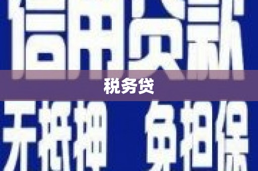青铜峡税务贷