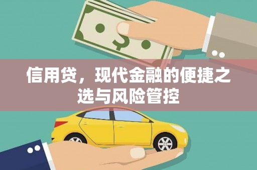 青铜峡信用贷，现代金融的便捷之选与风险管控