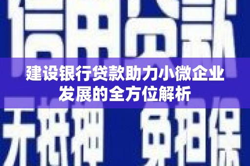青铜峡建设银行贷款助力小微企业发展的全方位解析
