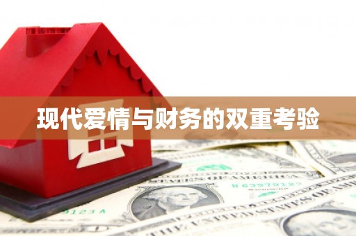 青铜峡现代爱情与财务的双重考验