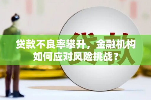 青铜峡贷款不良率攀升，金融机构如何应对风险挑战？