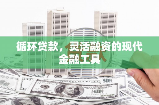 青铜峡循环贷款，灵活融资的现代金融工具