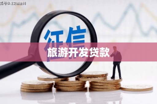 青铜峡旅游开发贷款