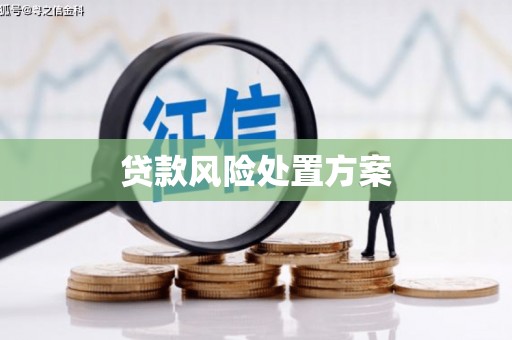 青铜峡贷款风险处置方案