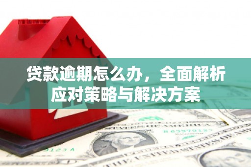 青铜峡贷款逾期怎么办，全面解析应对策略与解决方案