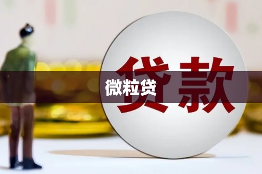 青铜峡微粒贷