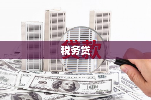 青铜峡税务贷