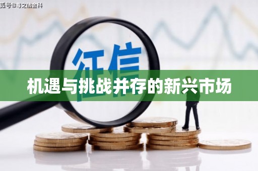 青铜峡机遇与挑战并存的新兴市场