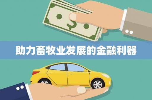 青铜峡助力畜牧业发展的金融利器