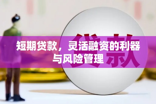 青铜峡短期贷款，灵活融资的利器与风险管理